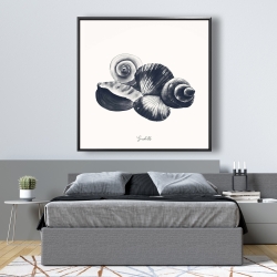 Framed 48 x 48 - Blue seaside shells