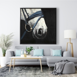 Framed 48 x 48 - Horse with harness