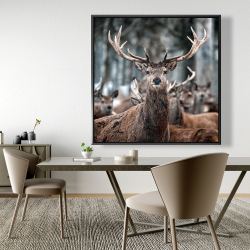 Framed 48 x 48 - Stags