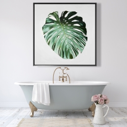 Encadré 48 x 48 - Feuille de monstera