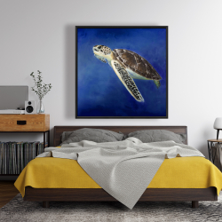 Encadré 48 x 48 - Belle tortue de mer