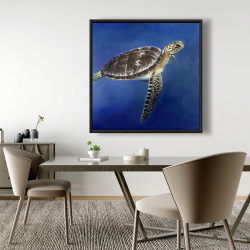 Framed 48 x 48 - Turtle in the ocean