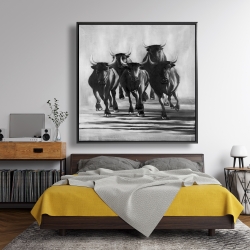 Framed 48 x 48 - Group of bulls at galops