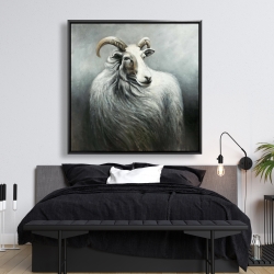 Framed 48 x 48 - Cashmere goat