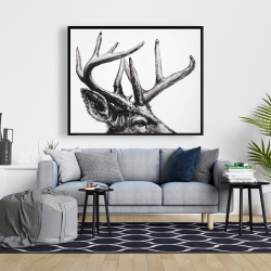 Framed 48 x 60 - Roe deer plume