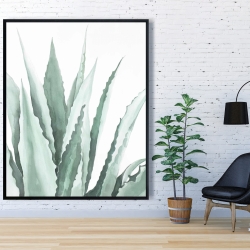 Encadré 48 x 60 - Plante d'agave en aquarelle