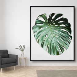 Encadré 48 x 60 - Feuille de monstera