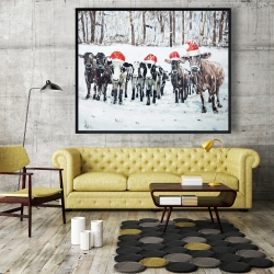 Encadré 48 x 60 - Vaches curieuses de noël