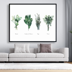 Framed 48 x 60 - Fines herbes