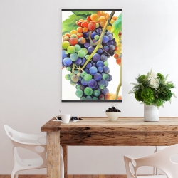 Magnetic 20 x 30 - Colorful bunch of grapes