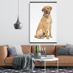 Magnétique 28 x 42 - Labrador retriever