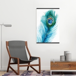 Magnetic 20 x 30 - Long peacock feather