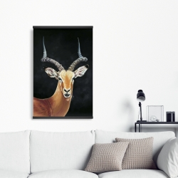 Magnetic 20 x 30 - Antelope