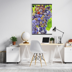 Magnetic 20 x 30 - Bunch of grapes
