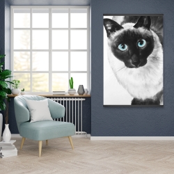 Magnetic 28 x 42 - Blue eyes siamese cat