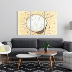 Canvas 24 x 36 - Sand-dollar