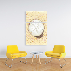 Canvas 24 x 36 - Sand-dollar