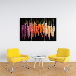 Canvas 24 x 36 - Colorful carrots