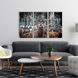 Canvas 24 x 36 - Stags