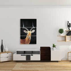 Canvas 24 x 36 - Antelope