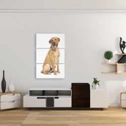 Toile 24 x 36 - Labrador retriever