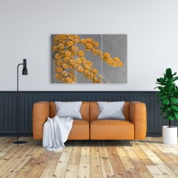 Canvas 24 x 36 - Golden wattle plant