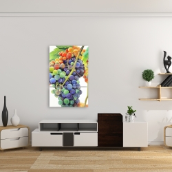 Canvas 24 x 36 - Colorful bunch of grapes