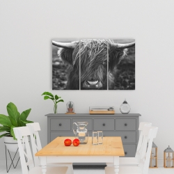 Canvas 24 x 36 - Monochrome portrait highland cow