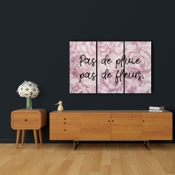 Toile 24 x 36 - Pas de pluie pas de fleurs