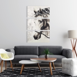 Canvas 24 x 36 - Alpha the white horse