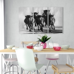 Canvas 24 x 36 - Group of bulls at galops