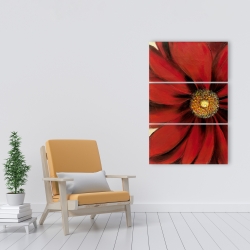 Canvas 24 x 36 - Red daisy