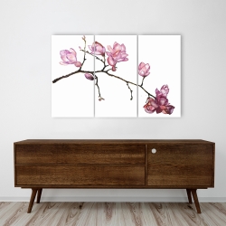Canvas 24 x 36 - Branch of cherry blossoms