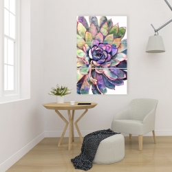 Canvas 24 x 36 - Multicolored succulent 