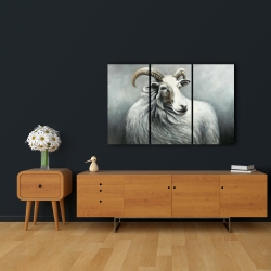 Canvas 24 x 36 - Cashmere goat