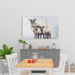 Canvas 24 x 36 - Sheep family