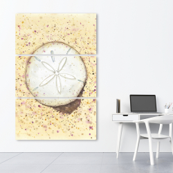 Canvas 40 x 60 - Sand-dollar