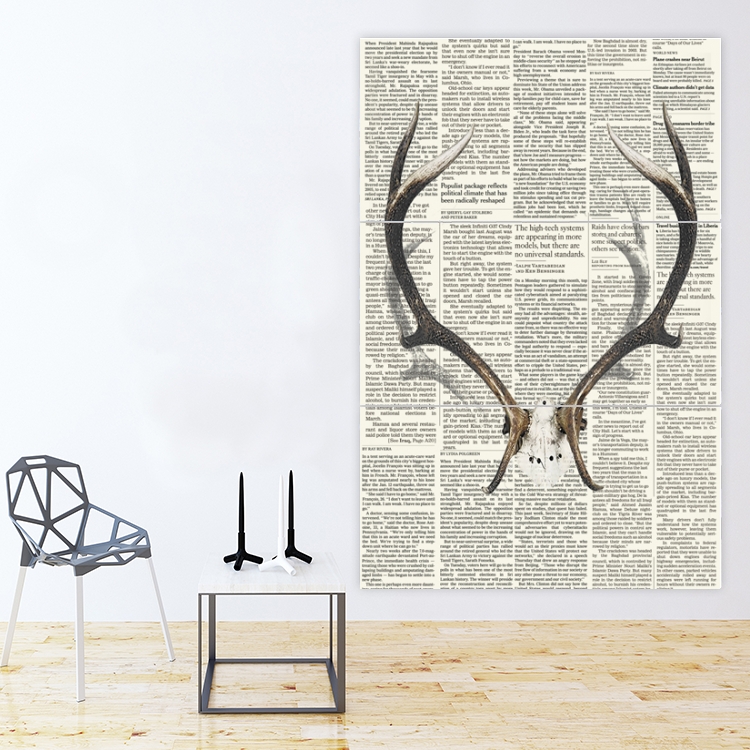 Canvas 40 x 60 - Deer horns with newspaper