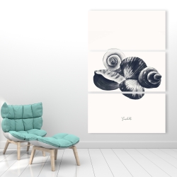 Canvas 40 x 60 - Blue seaside shells