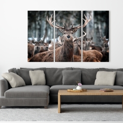 Canvas 40 x 60 - Stags