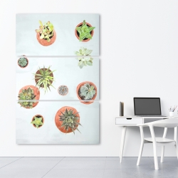 Canvas 40 x 60 - Cactus plants