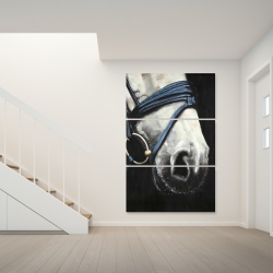 Canvas 40 x 60 - Horse with harness