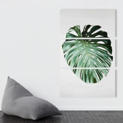 Toile 40 x 60 - Feuille de monstera