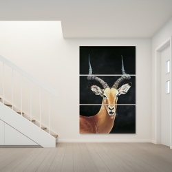 Canvas 40 x 60 - Antelope