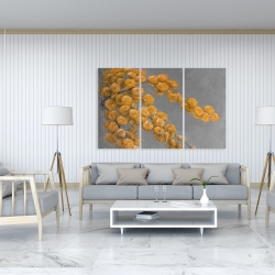 Canvas 40 x 60 - Golden wattle plant