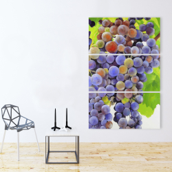 Canvas 40 x 60 - Bunch of grapes