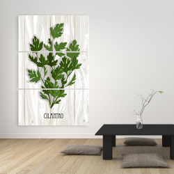 Canvas 40 x 60 - Cilantro on wood