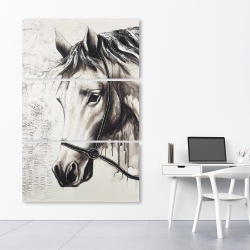 Canvas 40 x 60 - Alpha the white horse