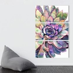 Canvas 40 x 60 - Multicolored succulent 