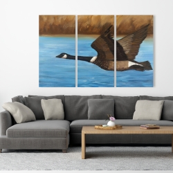 Canvas 40 x 60 - Canada goose